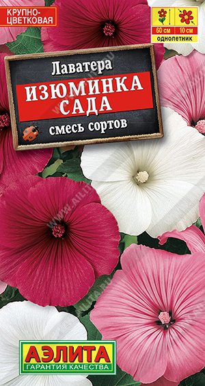 картинка Лаватера Изюминка сада 0,5г ц/п (Аэлита) магазин Одежда+ являющийся официальным дистрибьютором в России 