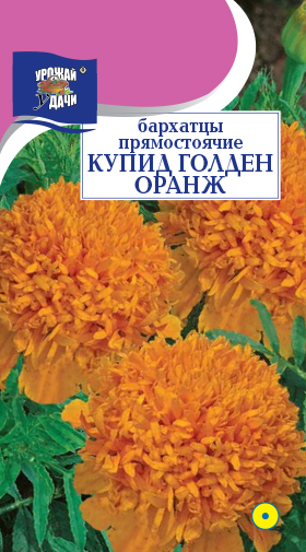 картинка Бархатцы Купид Гольден Оранж 0,2г ц/п (УУ) 25см,8см  магазин Одежда+ являющийся официальным дистрибьютором в России 