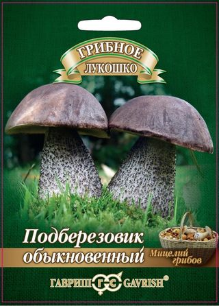 картинка Мицелий грибов Подберезовик 15мл ц/п (Гавриш) магазин Одежда+ являющийся официальным дистрибьютором в России 