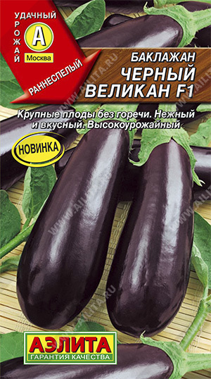 картинка Баклажан Черный великан F1 0,2г ц/п (Аэлита) ранний,200-300г. магазин Одежда+ являющийся официальным дистрибьютором в России 