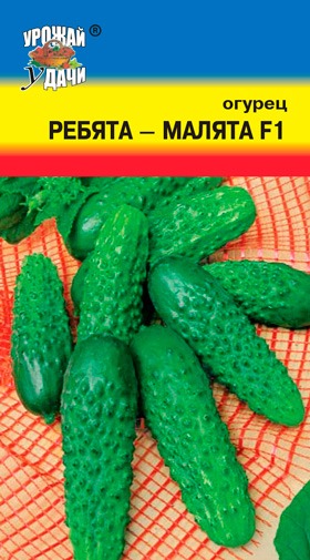 картинка Огурец Ребята-Малята F1 0,25г ц/п (УУ) магазин Одежда+ являющийся официальным дистрибьютором в России 