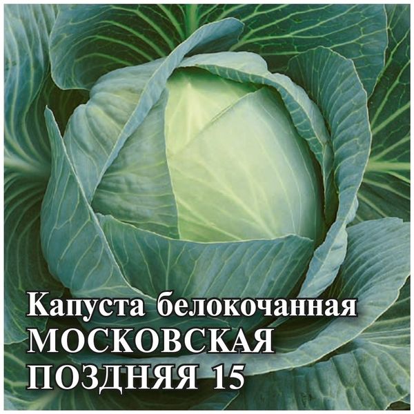 картинка Капуста Московская поздняя 15 25г (Гавриш) магазин Одежда+ являющийся официальным дистрибьютором в России 