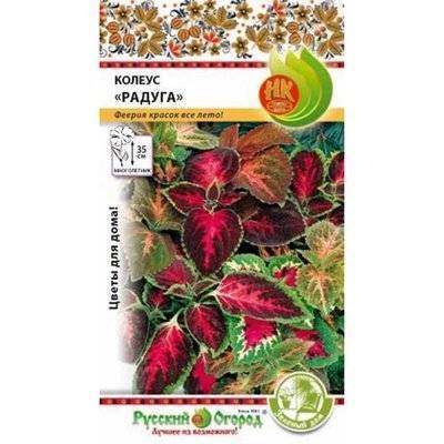 картинка Колеус Радуга, смесь 0,05г ц/п (НК) магазин Одежда+ являющийся официальным дистрибьютором в России 