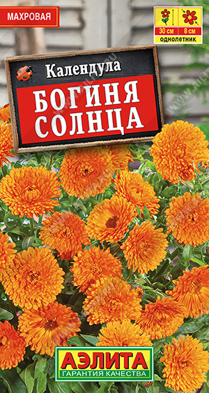 картинка Календула Богиня Солнца 0,3г ц/п (Аэлита) магазин Одежда+ являющийся официальным дистрибьютором в России 