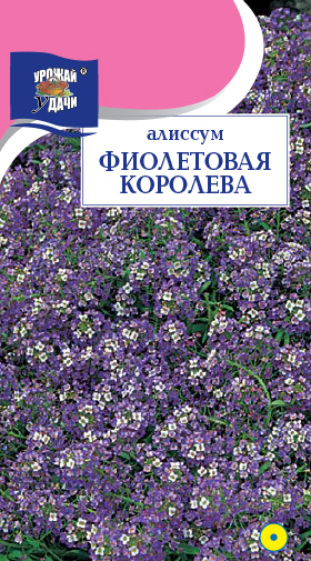картинка Алиссум Фиолетовая королева 0,1г ц/п (УУ) магазин Одежда+ являющийся официальным дистрибьютором в России 