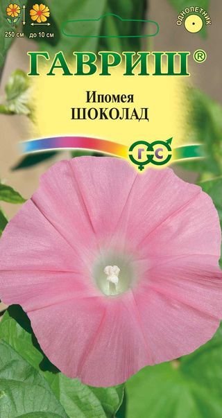 картинка Ипомея Шоколад 0,3г ц/п (Гавриш) магазин Одежда+ являющийся официальным дистрибьютором в России 