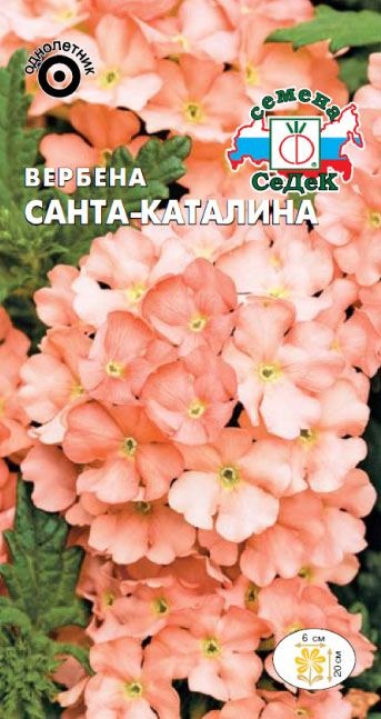 картинка Вербена Санта-Каталина 0,05г ц/п (Седек) абрикосово-розовая магазин Одежда+ являющийся официальным дистрибьютором в России 
