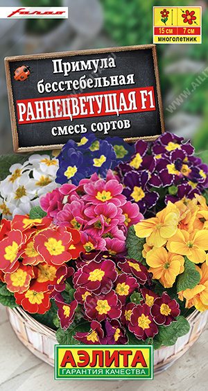 картинка Примула Раннецветущая F1, смесь 7шт ц/п (Аэлита) магазин Одежда+ являющийся официальным дистрибьютором в России 