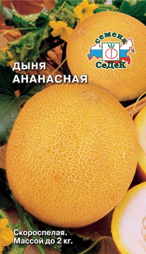 картинка Дыня Ананасная 0,5г ц/п (Седек) скороспелый, 1,8-2кг магазин Одежда+ являющийся официальным дистрибьютором в России 