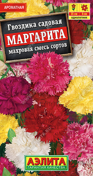 картинка Гвоздика Маргарита махровая смесь 0,1г ц/п (Аэлита) магазин Одежда+ являющийся официальным дистрибьютором в России 