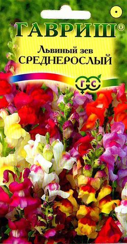 картинка Львиный зев Среднерослый смесь 0,05г ц/п (Гавриш) магазин Одежда+ являющийся официальным дистрибьютором в России 