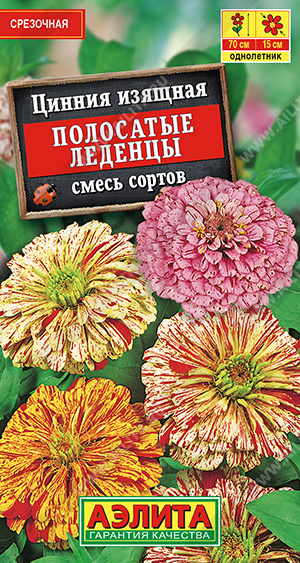 картинка Цинния Полосатые леденцы, смесь 0,3г ц/п (Аэлита) 70см магазин Одежда+ являющийся официальным дистрибьютором в России 