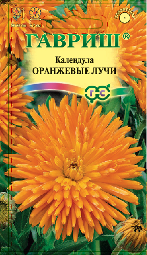 картинка Календула Оранжевые  лучи ц/п (Гавриш) магазин Одежда+ являющийся официальным дистрибьютором в России 