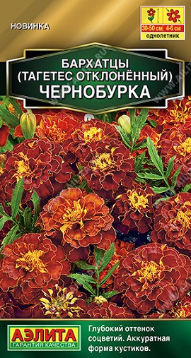 картинка Бархатцы Чернобурка 0,3г ц/п (Аэлита) Новинка магазин Одежда+ являющийся официальным дистрибьютором в России 