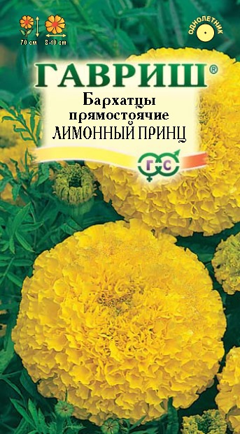 картинка Бархатцы Лимонный принц 0,1г ц/п (Гавриш) прямост.70см/10см магазин Одежда+ являющийся официальным дистрибьютором в России 