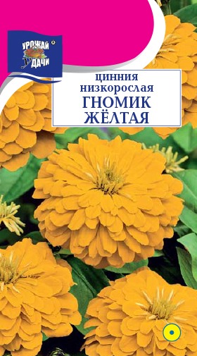 картинка Цинния Гномик желтая 0,1г ц/п (УУ) магазин Одежда+ являющийся официальным дистрибьютором в России 