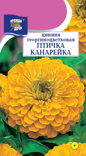 картинка Цинния Птичка Канарейка 0,3г ц/п (УУ) георгиновидная магазин Одежда+ являющийся официальным дистрибьютором в России 