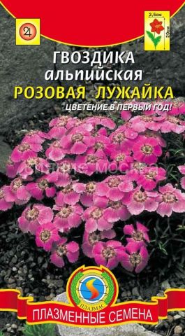 Гвоздика Розовая лужайка альпийская 0,05г ц/п (ПлазмаС)