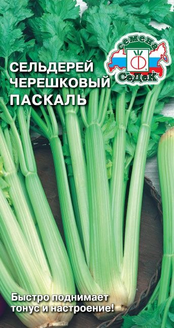 картинка Сельдерей черешковый Паскаль 0,5г ц/п (Седек) магазин Одежда+ являющийся официальным дистрибьютором в России 