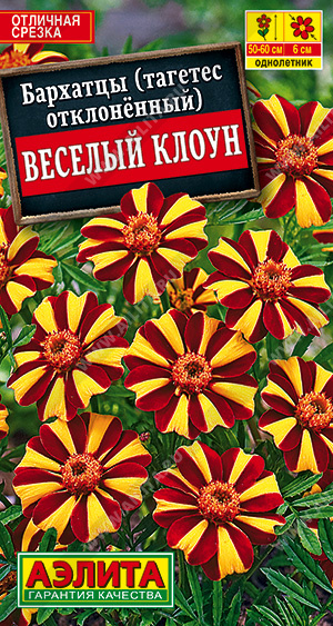 картинка Бархатцы Веселый клоун 0,1г отклоненные ц/п (Аэлита) 50см/6см магазин Одежда+ являющийся официальным дистрибьютором в России 