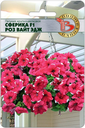 картинка Петуния Сферика F1 Роз Вайт Эдж 10шт (Биотехника) магазин Одежда+ являющийся официальным дистрибьютором в России 