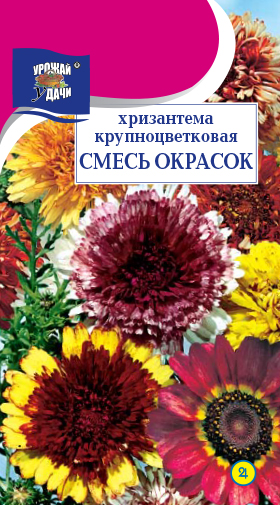 картинка Хризантема Крупноцветковая смесь 0,02г ц/п (УУ) магазин Одежда+ являющийся официальным дистрибьютором в России 