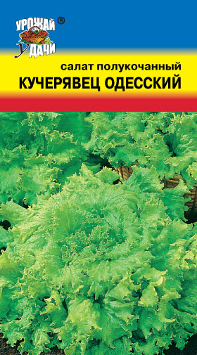 картинка Салат Одесский кучерявец 1г б/п (УУ) магазин Одежда+ являющийся официальным дистрибьютором в России 