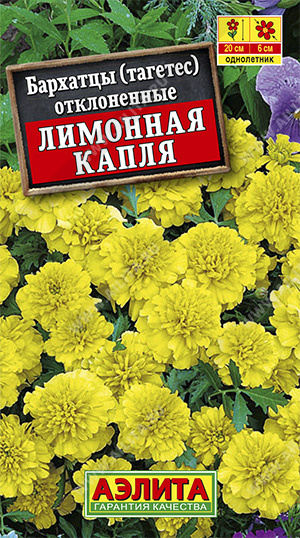 картинка Бархатцы Лимонная капля 0,3г ц/п (Аэлита) 20см/6см магазин Одежда+ являющийся официальным дистрибьютором в России 