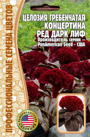 картинка Целозия гребенчатая Концертина Ред Дарк Лиф 5шт (Григорьев) магазин Одежда+ являющийся официальным дистрибьютором в России 