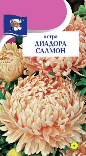 картинка Астра Диадора Салмон 0,2г пион.ц/п (УУ)  магазин Одежда+ являющийся официальным дистрибьютором в России 