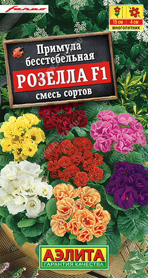 картинка Примула Розела, смесь окрасок F1 7шт (Аэлита) магазин Одежда+ являющийся официальным дистрибьютором в России 