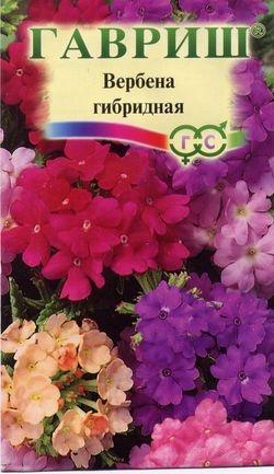 картинка Вербена Романс, смесь 0,1г ц/п (Гавриш) Уд.с. магазин Одежда+ являющийся официальным дистрибьютором в России 