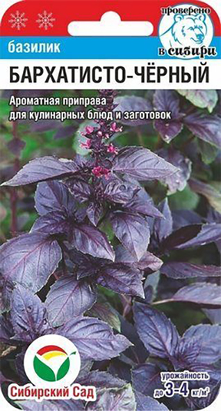 картинка Базилик Бархатисто-черный 0,5г (СибСад) магазин Одежда+ являющийся официальным дистрибьютором в России 