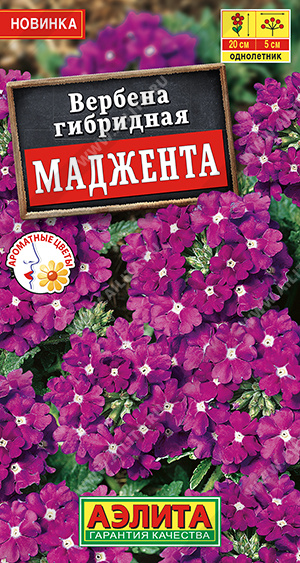 картинка Вербена Маджента 10шт ц/п (Аэлита) Новинка магазин Одежда+ являющийся официальным дистрибьютором в России 