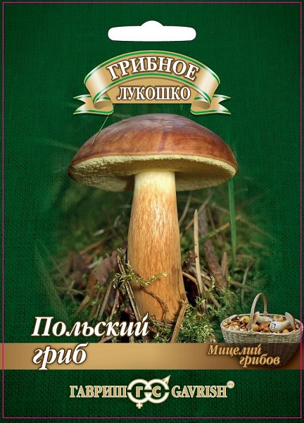 Мицелий грибов Польский гриб на субстрате 15мл (Гавриш)