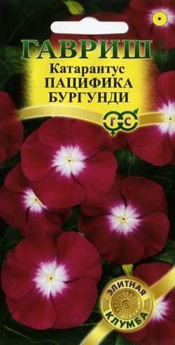 картинка Катарантус Пацифика Бургундия 5шт ц/п (Гавриш) Элит.клумба магазин Одежда+ являющийся официальным дистрибьютором в России 