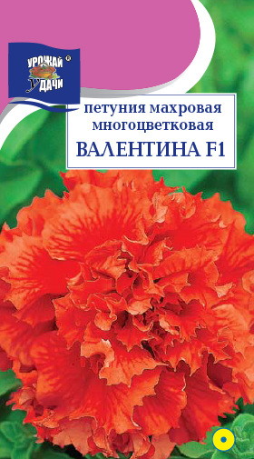 картинка Петуния Валентина F1 8шт ц/п (УУ) махровая магазин Одежда+ являющийся официальным дистрибьютором в России 