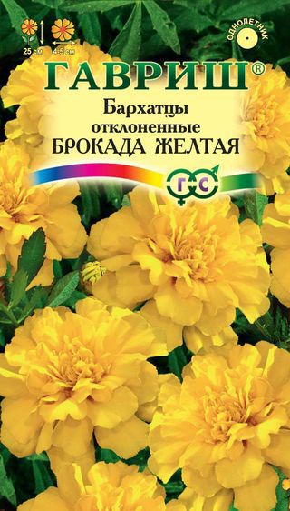 картинка Бархатцы Брокада желтая 0,3г ц/п (Гавриш) 25/5 магазин Одежда+ являющийся официальным дистрибьютором в России 