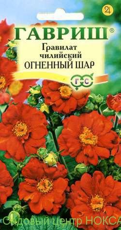 картинка Гравилат Огненный шар ц/п (Гавриш) магазин Одежда+ являющийся официальным дистрибьютором в России 
