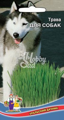 картинка Трава для собак 10г ц/п (УД) магазин Одежда+ являющийся официальным дистрибьютором в России 