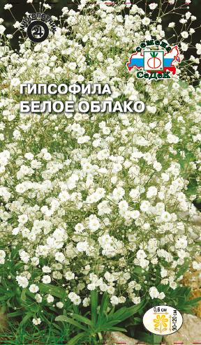 картинка Гипсофила Белое облако 0,1г ц/п (Седек)  магазин Одежда+ являющийся официальным дистрибьютором в России 