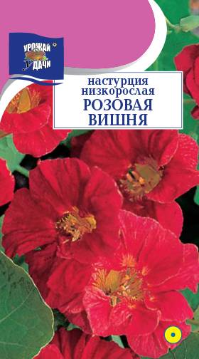 картинка Настурция Розовая вишня 1г ц/п (УУ) 30см. магазин Одежда+ являющийся официальным дистрибьютором в России 