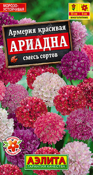 картинка Армерия Ариадна, смесь 0,03 ц/п (Аэлита)  магазин Одежда+ являющийся официальным дистрибьютором в России 