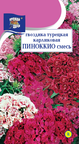 картинка Гвоздика турецкая Пиноккио 0,2г ц/п (УУ) магазин Одежда+ являющийся официальным дистрибьютором в России 