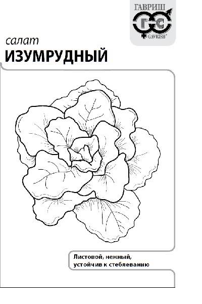 картинка Салат Изумрудный 0,5г б/п (Гавриш) магазин Одежда+ являющийся официальным дистрибьютором в России 