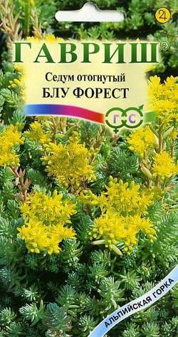 картинка Очиток Блу Форест 0,01г ц/п (Гавриш) Альп.горка магазин Одежда+ являющийся официальным дистрибьютором в России 