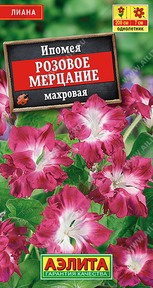 картинка Ипомея Розовое мерцание 0,2г ц/п (Аэлита) махровая магазин Одежда+ являющийся официальным дистрибьютором в России 