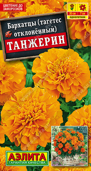 картинка Бархатцы Танжерин 0,3г ц/п (Аэлита) 30см/7см магазин Одежда+ являющийся официальным дистрибьютором в России 