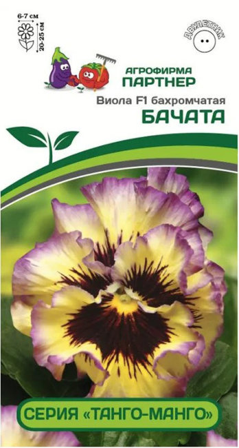 картинка Виола Бачата серия Танго-манго F1 5шт (Партнер) магазин Одежда+ являющийся официальным дистрибьютором в России 