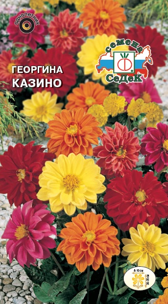 картинка Георгина Казино, махровая смесь 0,2г ц/п (Седек) низкая магазин Одежда+ являющийся официальным дистрибьютором в России 